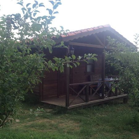 Salkim Konak Ve Agac Evler Selçuk Quarto foto