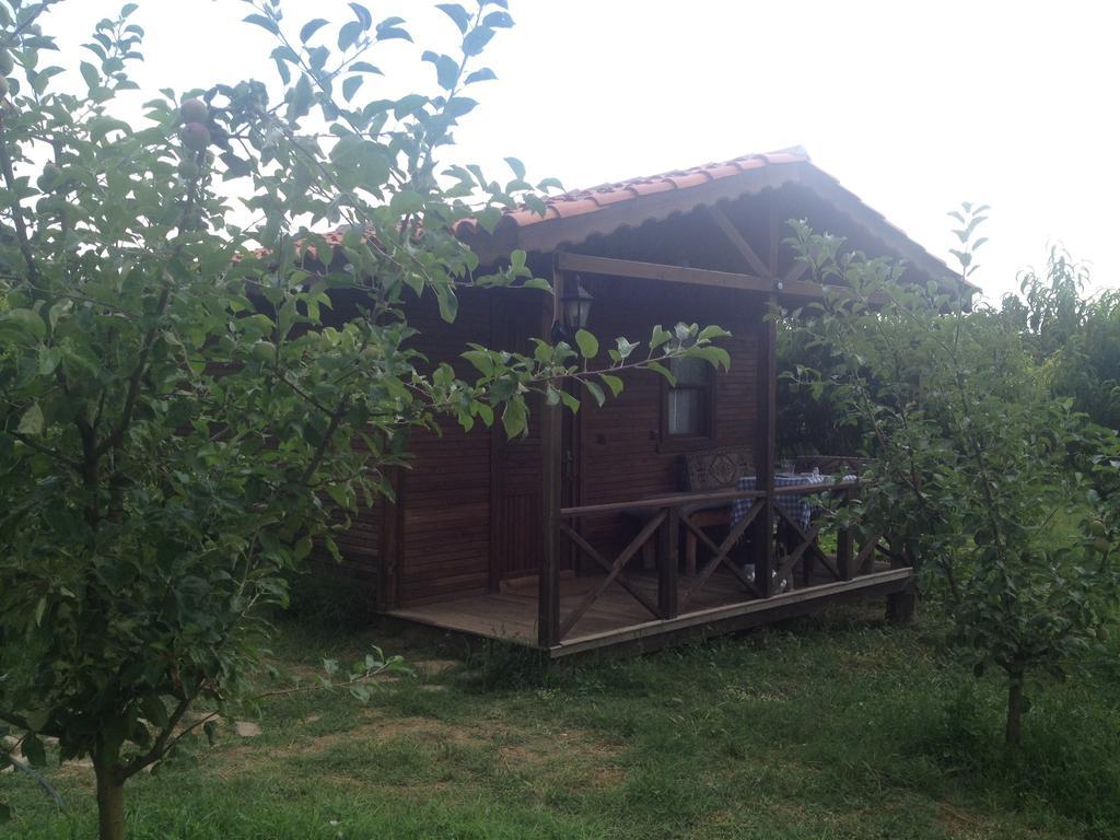 Salkim Konak Ve Agac Evler Selçuk Quarto foto