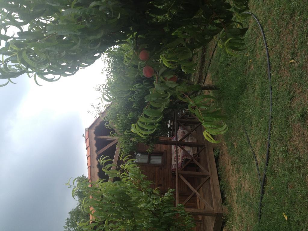 Salkim Konak Ve Agac Evler Selçuk Quarto foto