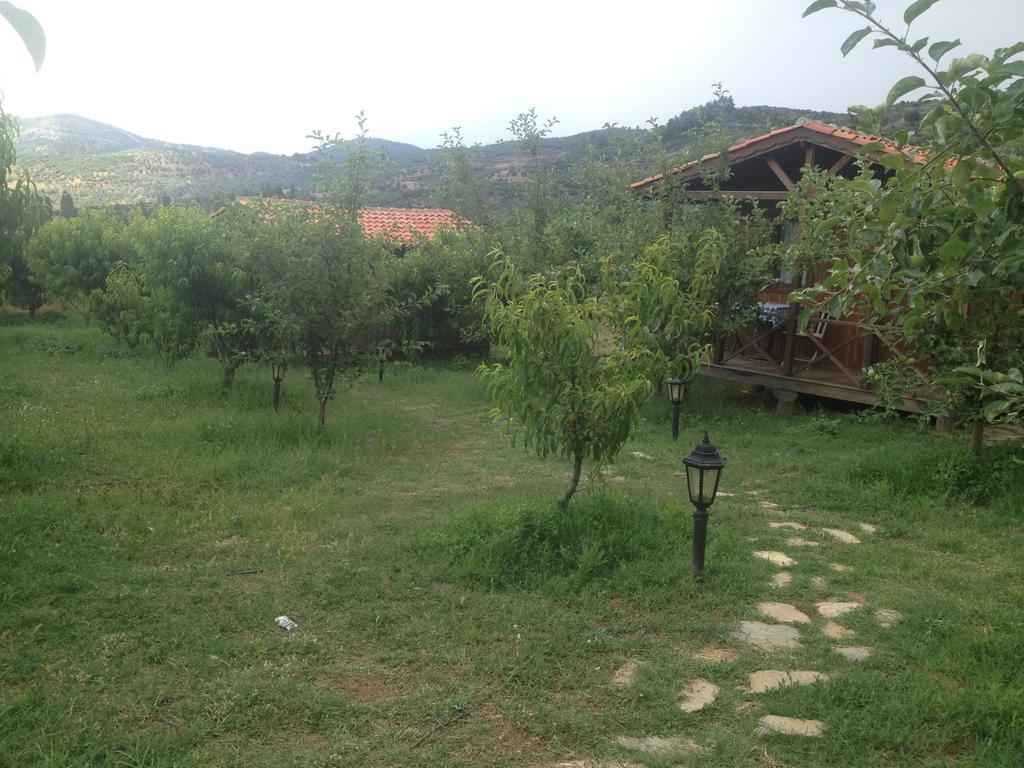 Salkim Konak Ve Agac Evler Selçuk Quarto foto