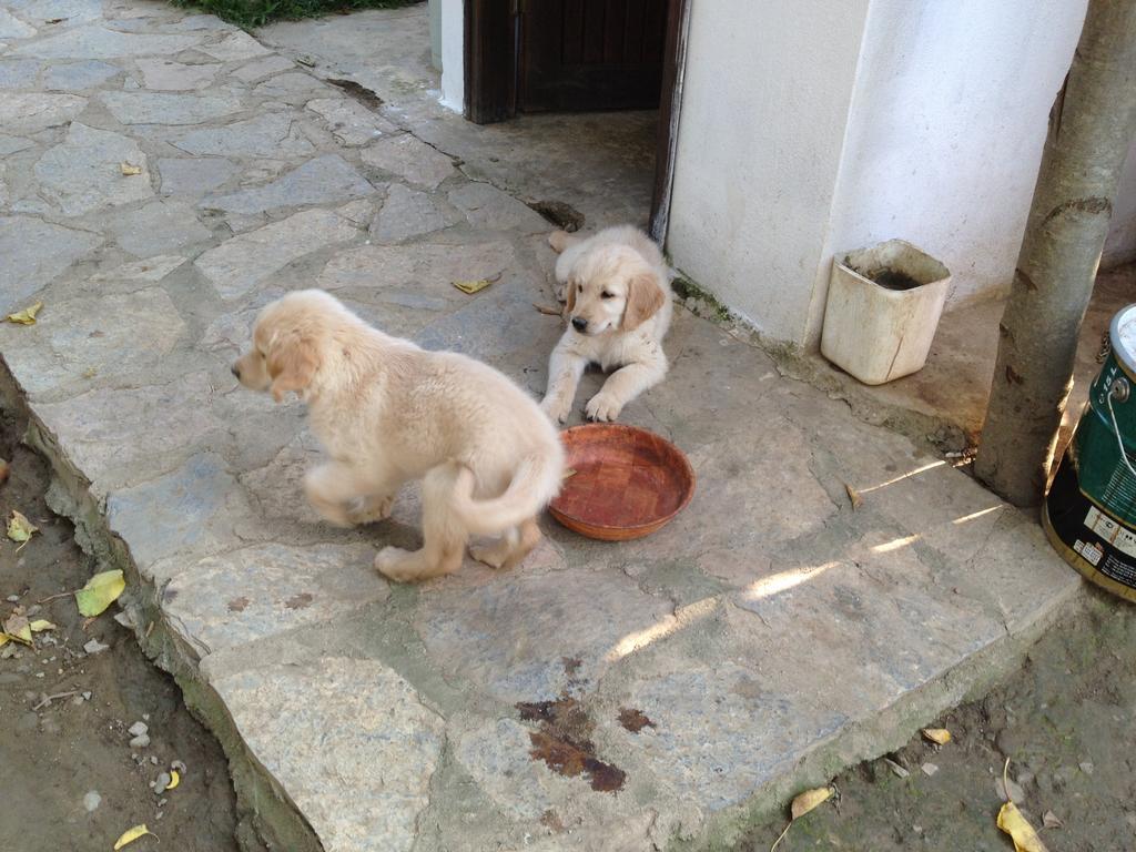 Salkim Konak Ve Agac Evler Selçuk Exterior foto