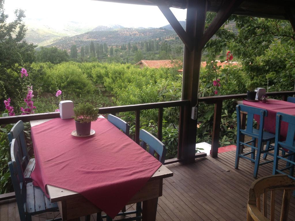 Salkim Konak Ve Agac Evler Selçuk Exterior foto