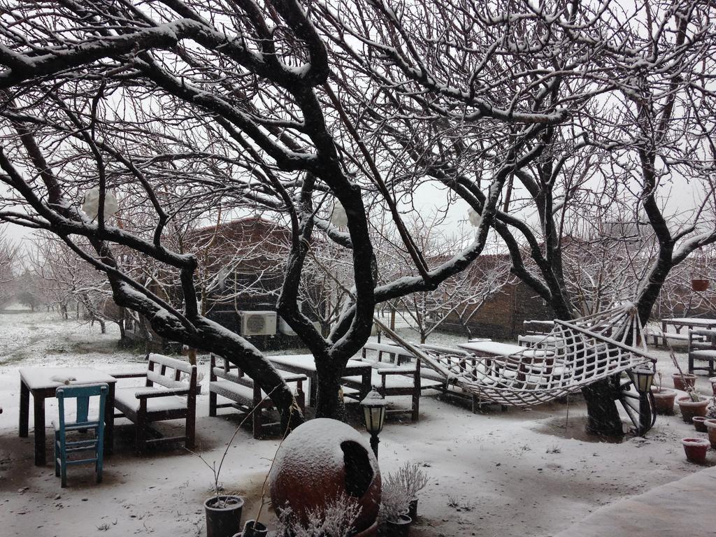 Salkim Konak Ve Agac Evler Selçuk Exterior foto