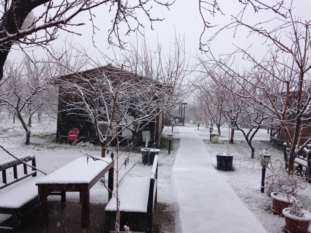 Salkim Konak Ve Agac Evler Selçuk Exterior foto