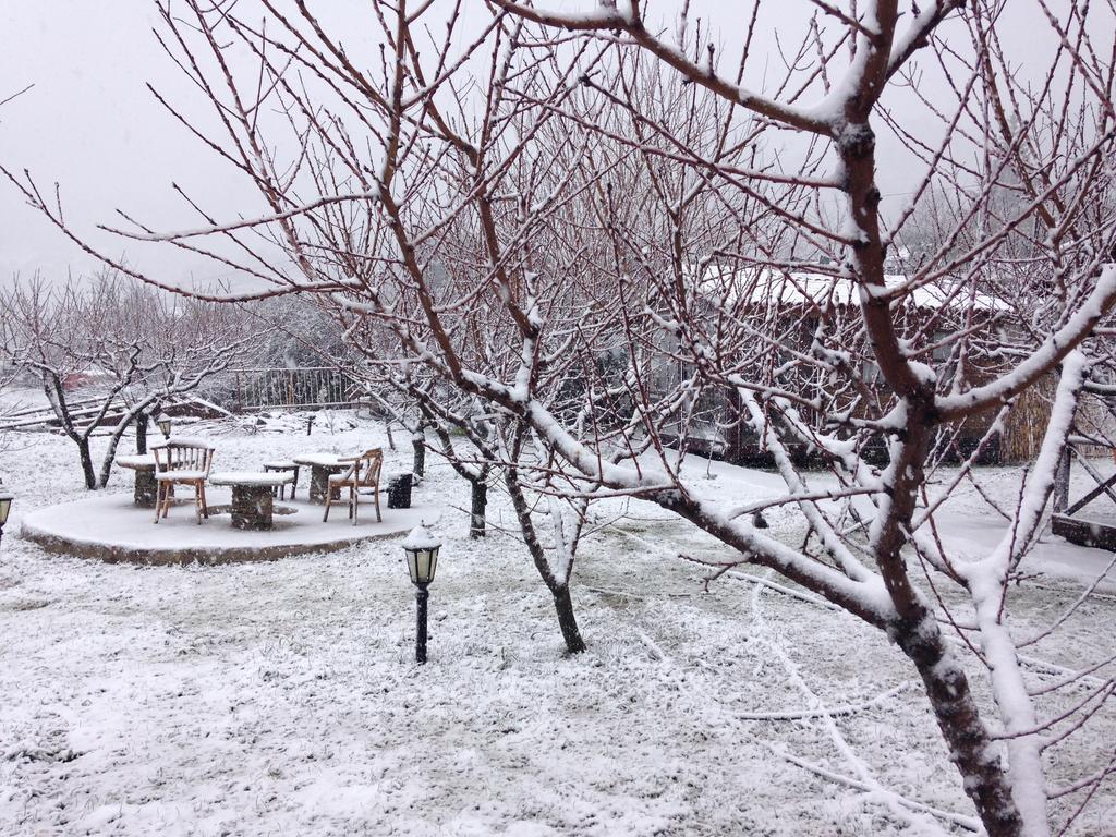 Salkim Konak Ve Agac Evler Selçuk Exterior foto
