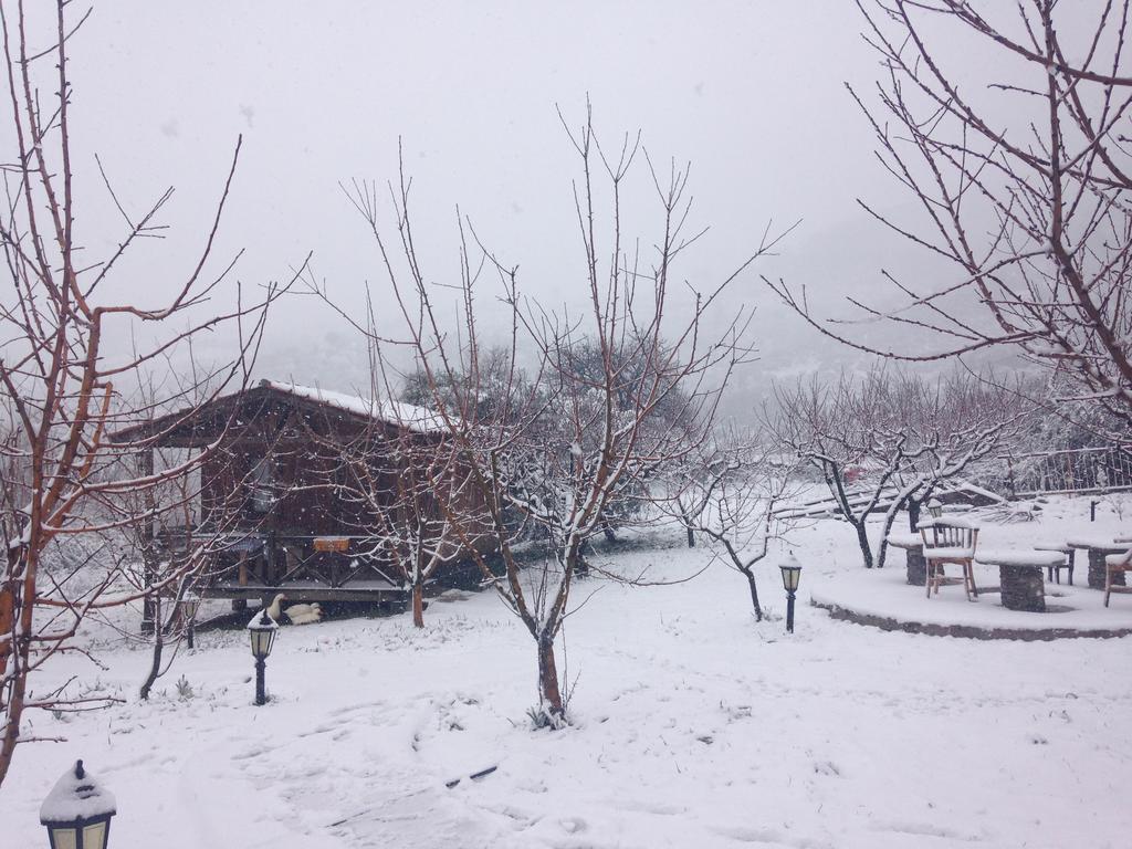 Salkim Konak Ve Agac Evler Selçuk Exterior foto
