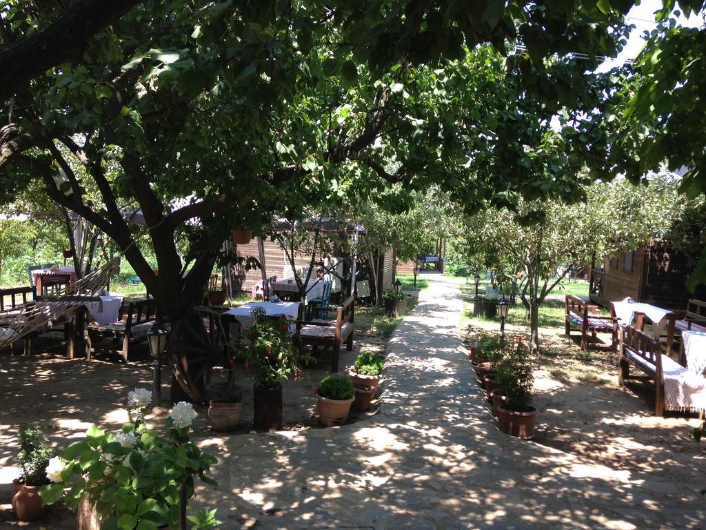 Salkim Konak Ve Agac Evler Selçuk Exterior foto