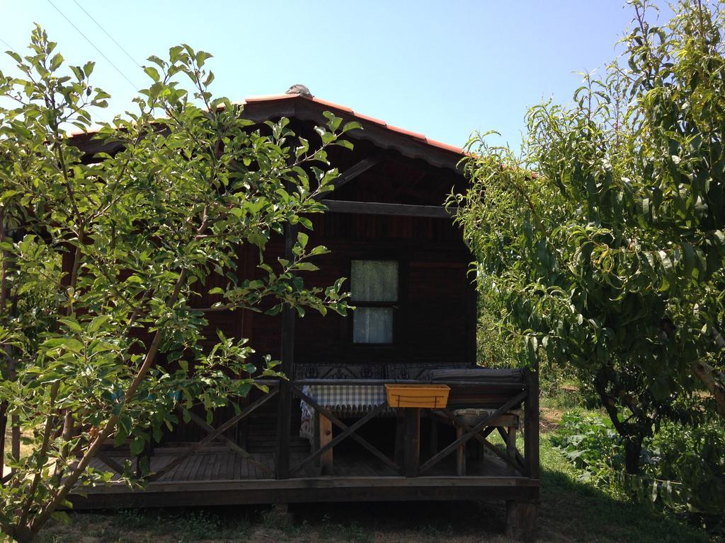 Salkim Konak Ve Agac Evler Selçuk Exterior foto