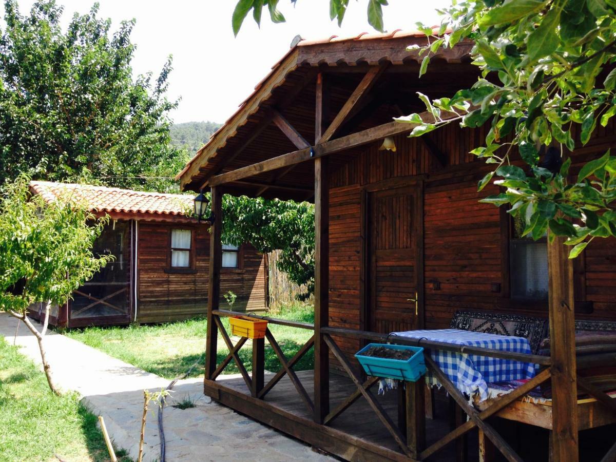 Salkim Konak Ve Agac Evler Selçuk Exterior foto